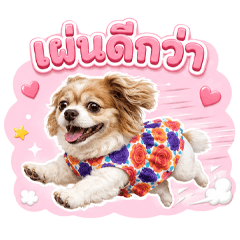 ❤️บราวนี่❤️