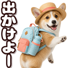 飛び出す！コーギー2【夏】
