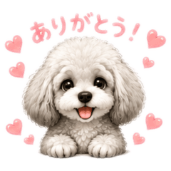 akane_20260530164714