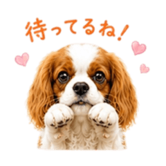 peace_20260530170022