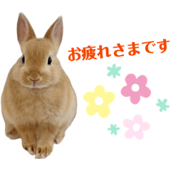 MAIMAI_20260530101954