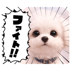 NAGI_20260530101956