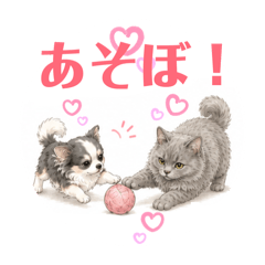 Blue Tabby Cat_20260530173323