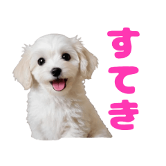 lu-&ray_20260527150141