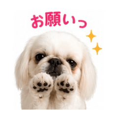 Y.Hsan_20260530111337