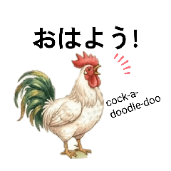 Daily Chicken stickers