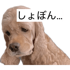 mimi_20260530110208