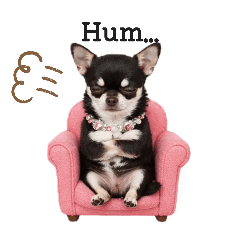 mokadog stanp