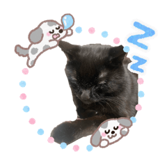 Natsumi_20260530172438
