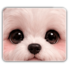 yunichan_20260530105746