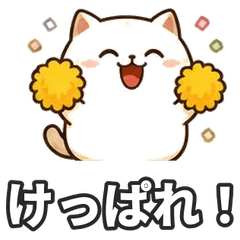 Chubby Nanbu Dialect Cat