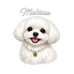 Lucky Maltese Daily Stickers