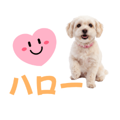 lu-&ray_20260530101624
