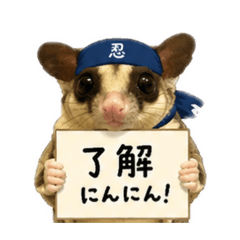 Momo_20260530120507