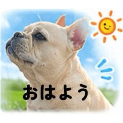 deco_202605312