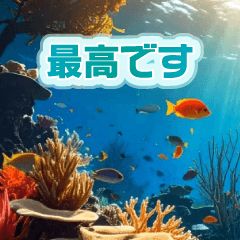 背景が動く水中熱帯魚