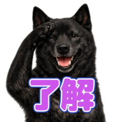一番使える！甲斐犬スタンプ