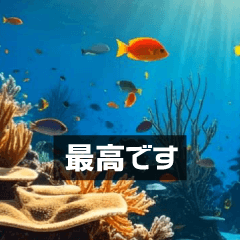 飛び出す！水中熱帯魚