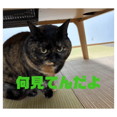 abc_20260530125859