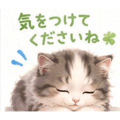 JULIA_20260530125634