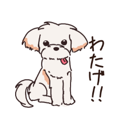 nagi_20260531003123