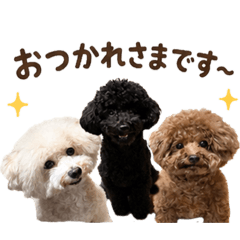 Annie Connie Teddy_20260531002510