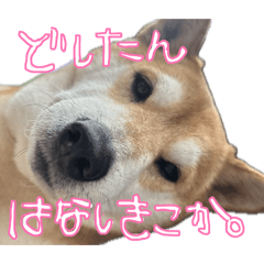 gee_20260531002620