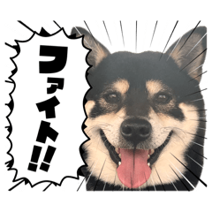 Sora factory_20260531015008