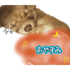 Fu_20260531014900
