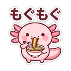 m-cha_20260531021925