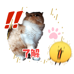 RIOCHCHI_20260530133349