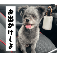 m_20260530142110
