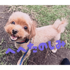 haruka_20260531035028