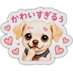 yuu_20260531062014
