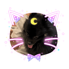natsumi_20260531080339