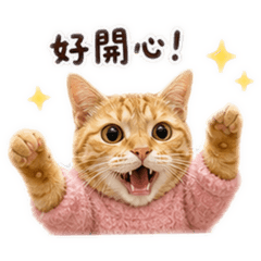 念念日常可愛中❤️
