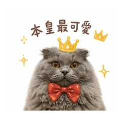 布丁王子