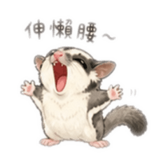 nanami_20260506151156