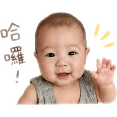 宸恩夏季款24張
