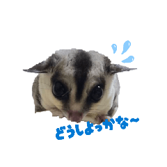 Fu-_20260531022821