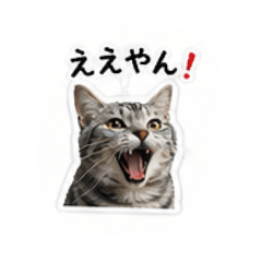minchi_20260531005239