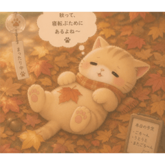 Minami373_20260531084128