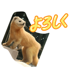 ko_20260531091346