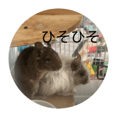 nodokat_20260531091108