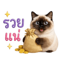 เหมียวตุ้ยนุ้ย กวนขั้นสุด 7