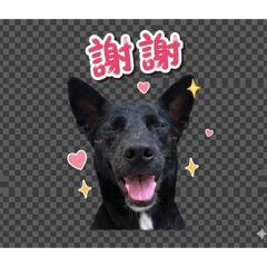 黑犬Kuro的實用貼圖