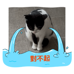 喵無語1