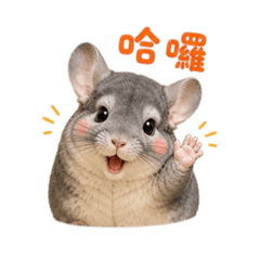 葉大大的日常用語篇