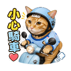 阿貓 旺財 關心你❤️