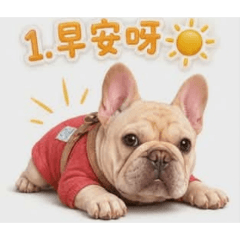 肉圆